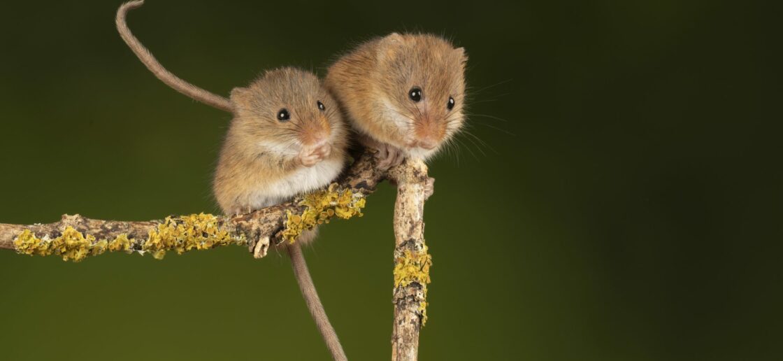 Les aventures du mercredi 19 novembre