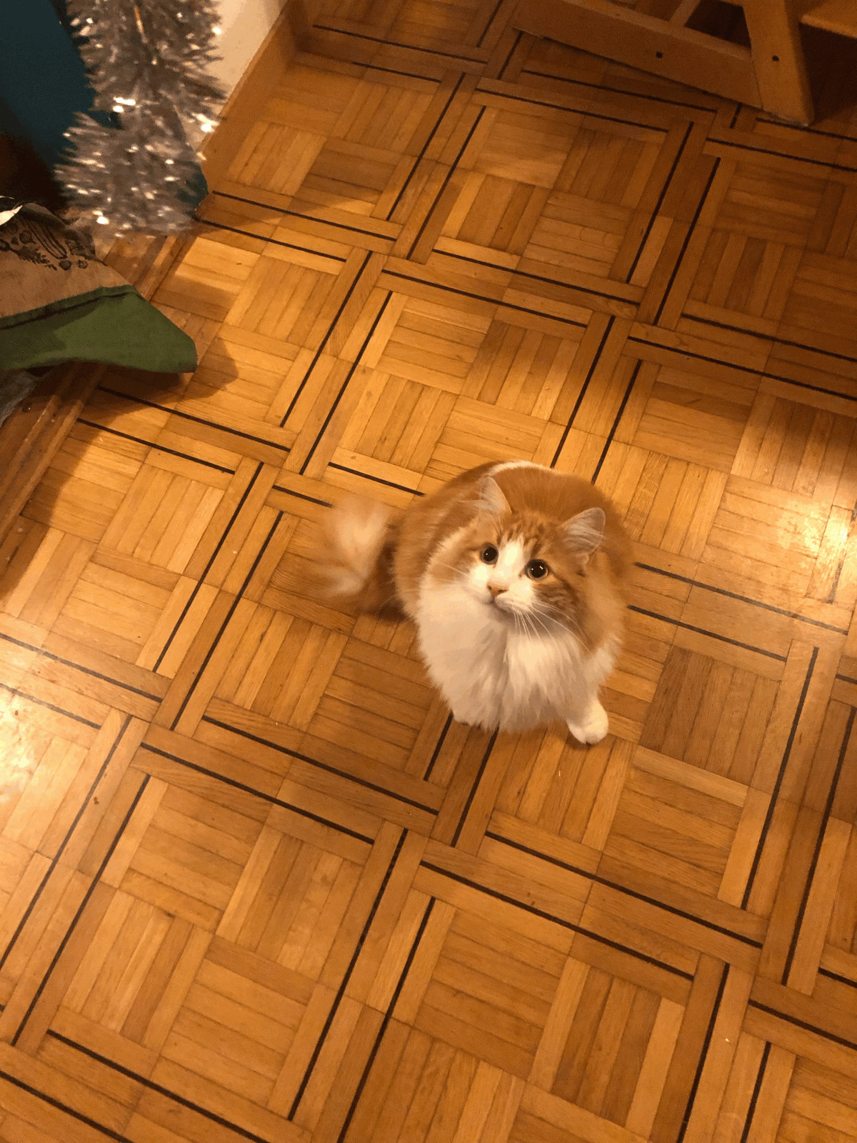 Les aventures du Dimanche soir